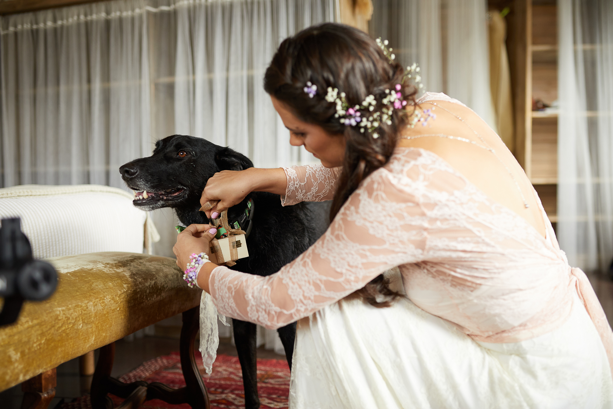 la novia con su perro