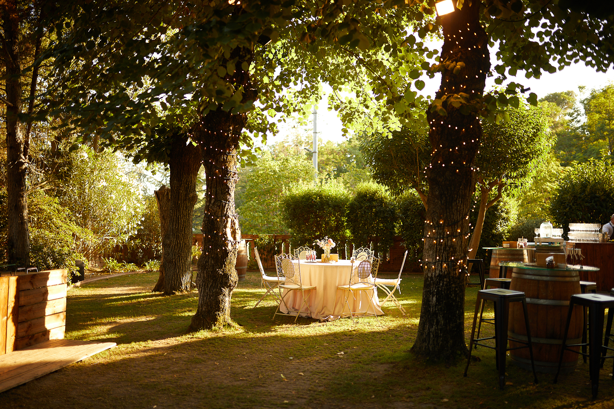 bosque con mesas para la fiesta de bodas