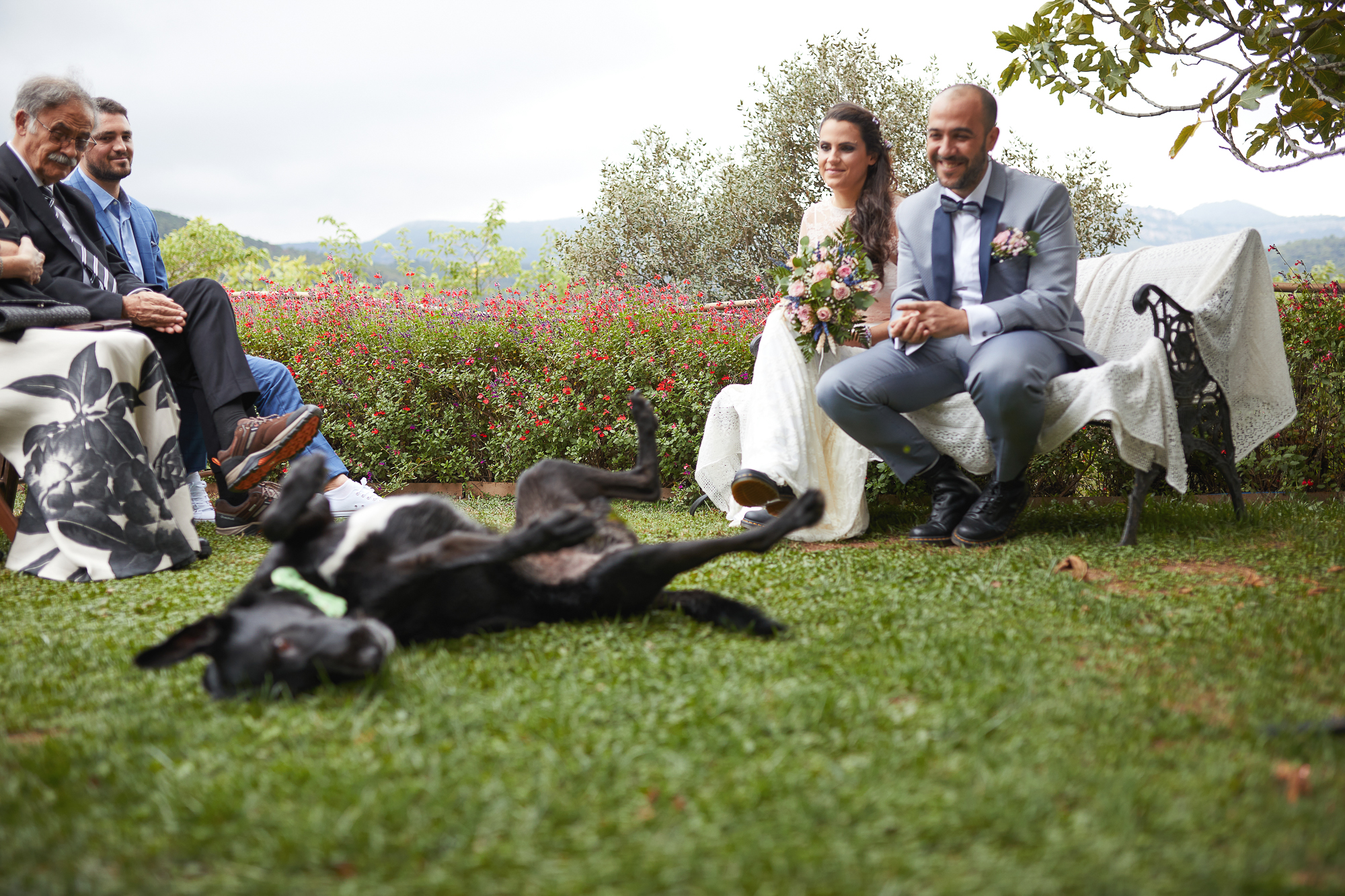 perro en la ceremonia de bodas